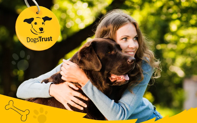 Besplatna sterilizacija pasa lutalica i vlasničkih pasa