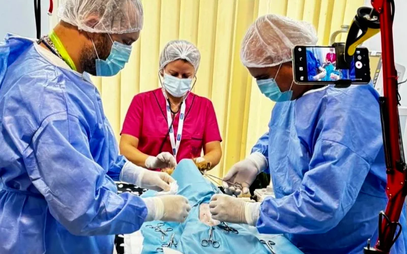 Hirurgija u veterini