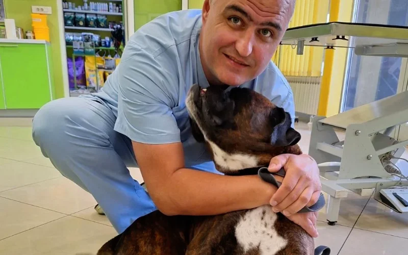 Internistički pregledi